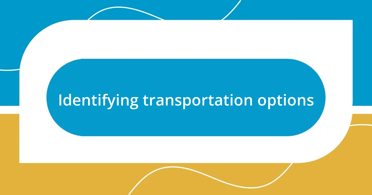 Identifying transportation options